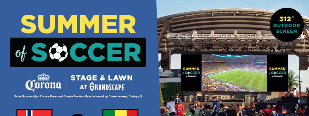 Summer of Soccer: Norway vs Senegal