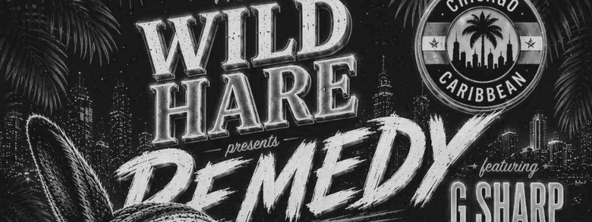 DJ G Sharp & DJ Fucha - REMEDY