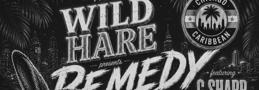 DJ G Sharp & DJ Fucha - REMEDY