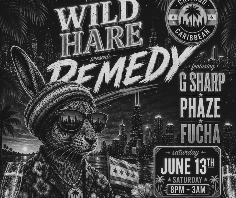 DJ G Sharp & DJ Fucha - REMEDY