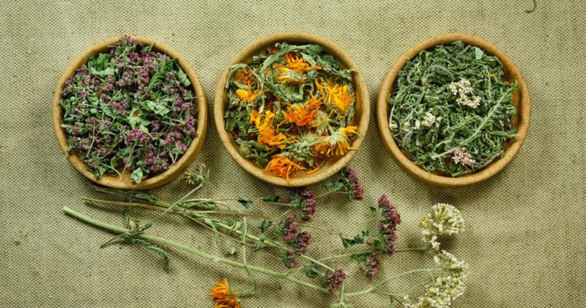 Herbal Winter Wellness
