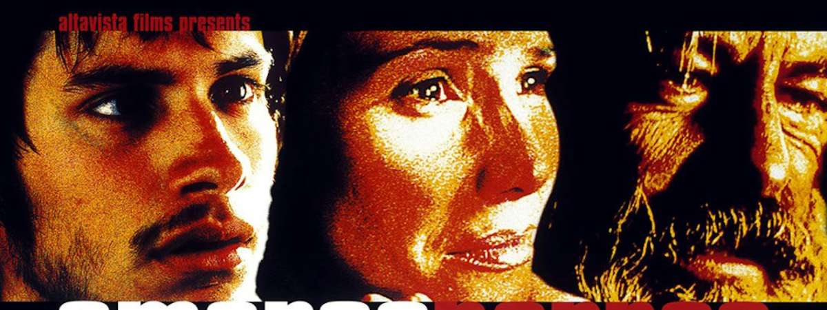 Amores Perros