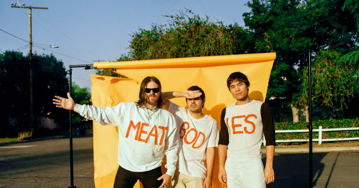 Meatbodies