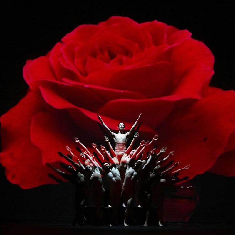 MOMIX: Botanica