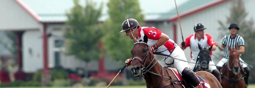 Polo At Sunset