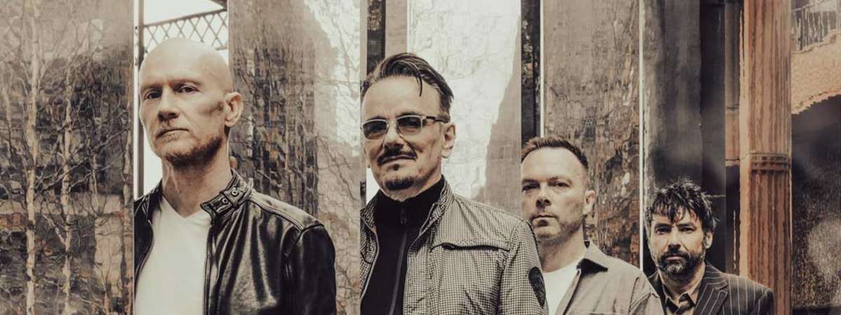 The Pineapple Thief