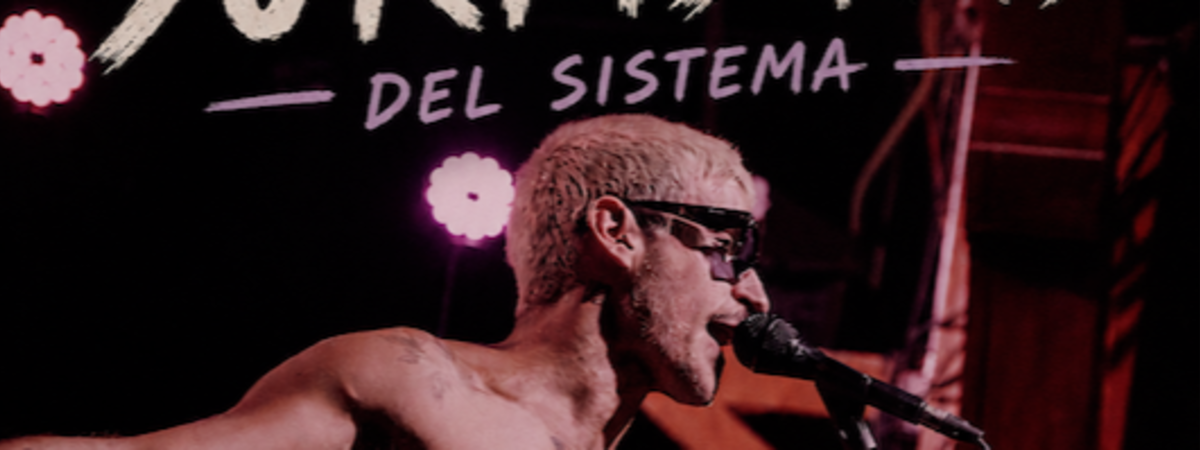 Surfistas Del Sistema