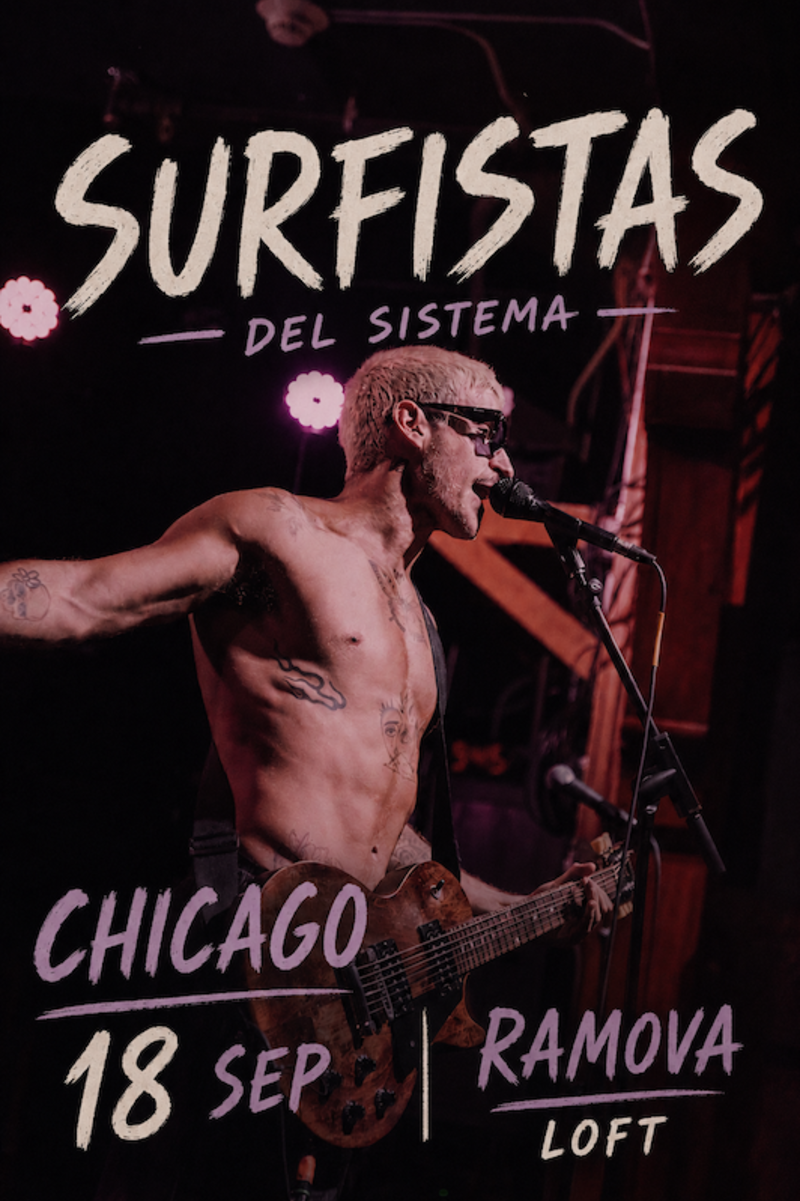 Surfistas Del Sistema