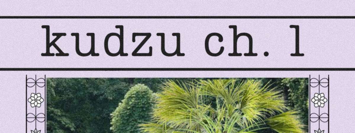 Kudzu: Chapter 1