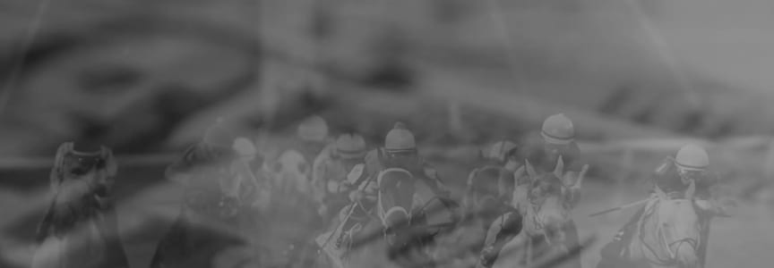 Lone Star Summer Betting Challenge Feeder