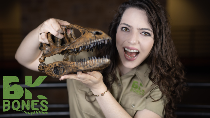 Dinosaurs of Texas with BK Bones