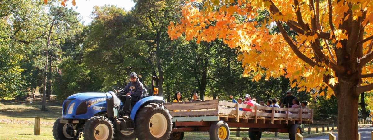 Awbury Arboretum Harvest Festival