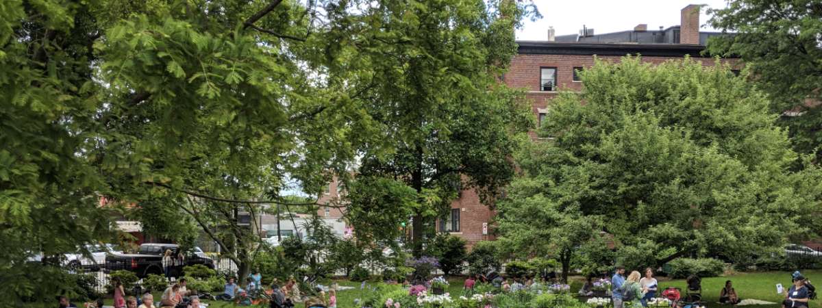 Thursdays on the Lawn