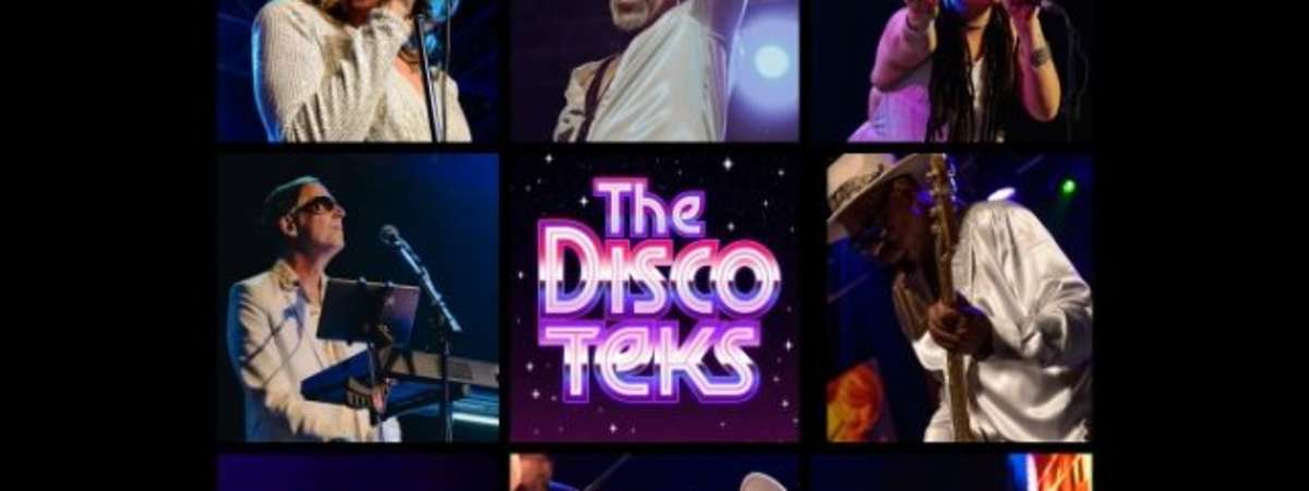 The Discoteks - Tribute to 70's Disco