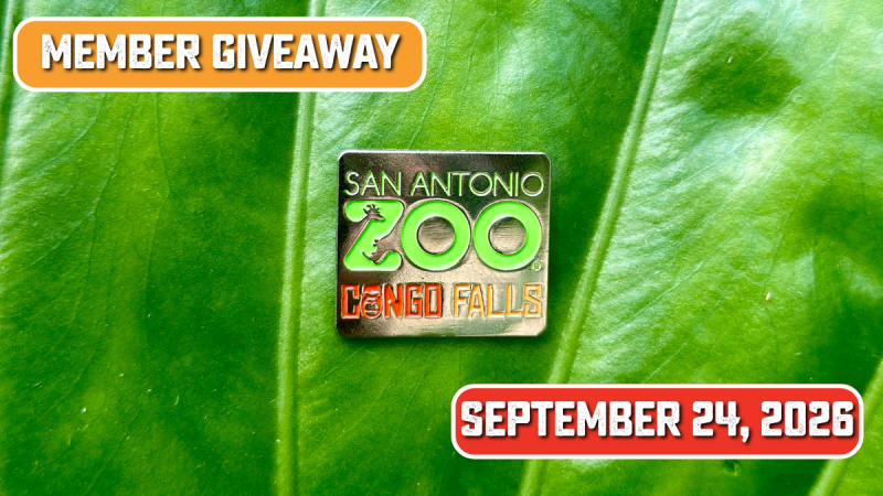 Member Giveaway Pin Day