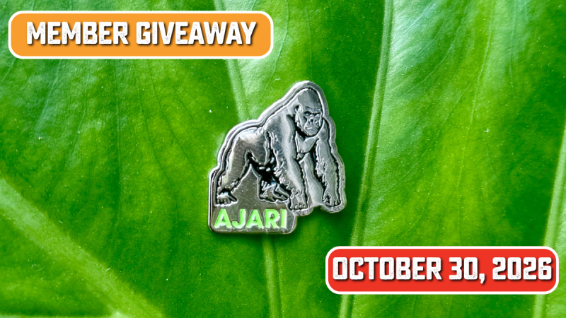 Member Giveaway Pin Day