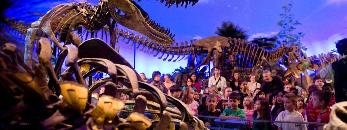 Create-A-Saurus: Discover, Imagine, and Sculpt Paleo Art!