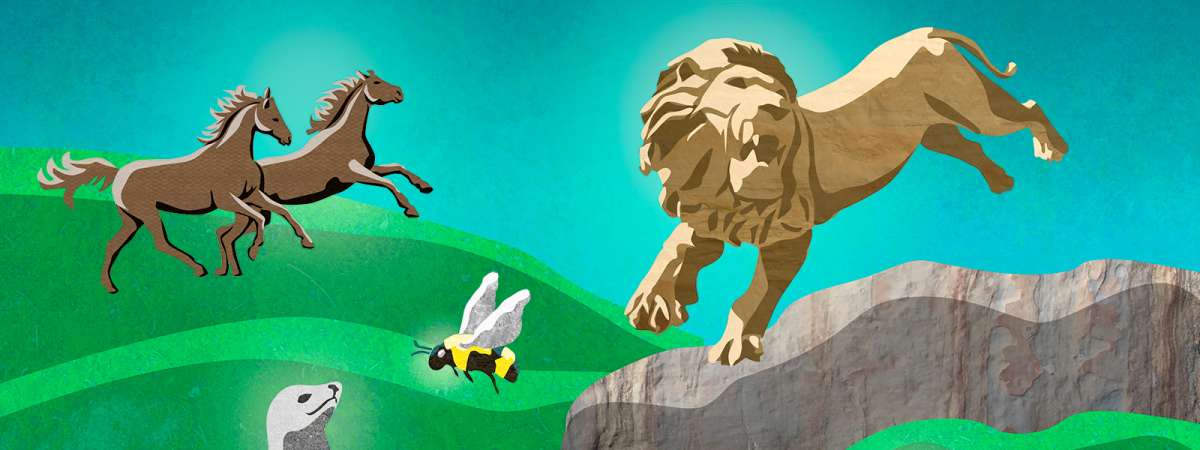 Carnival of the Animals: Music on the Wild Side