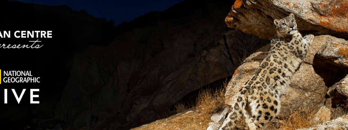 National Geographic Live: Wild Cats Revealed with Sandesh Kadur