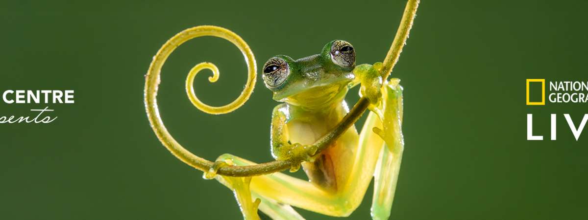 National Geographic Live: Weird World of Frogs with Dr. Jodi Rowley