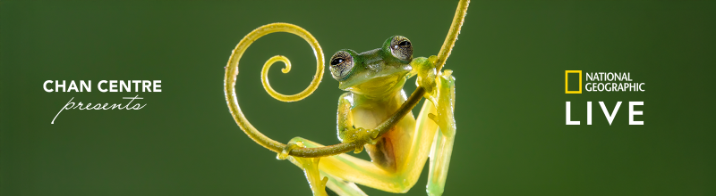 National Geographic Live: Weird World of Frogs with Dr. Jodi Rowley