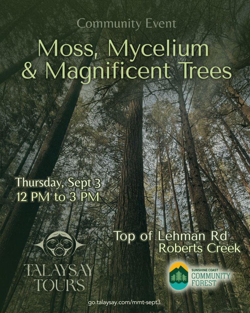 Moss, Mycelium & Magnificent Trees