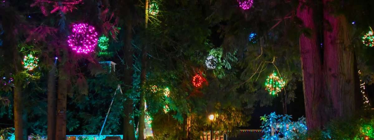 Festive Village