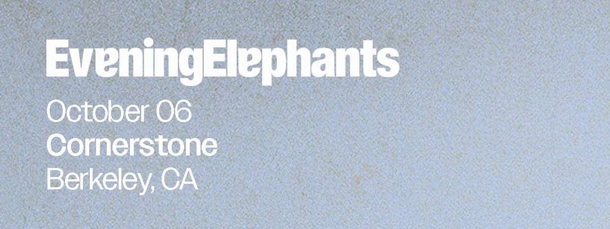 Evening Elephants