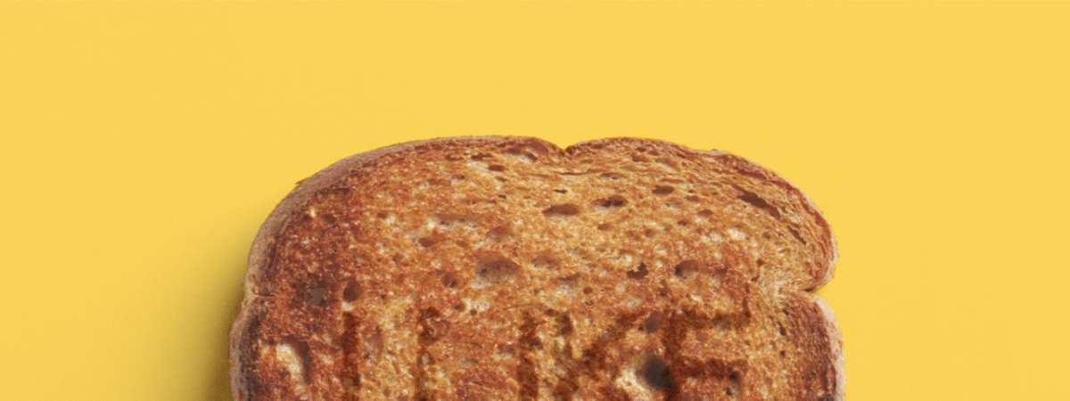 Toast – The Best of Bread