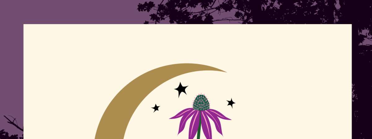 Artist Activities: Chicago Parks Foundation Gala