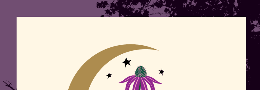 Artist Activities: Chicago Parks Foundation Gala