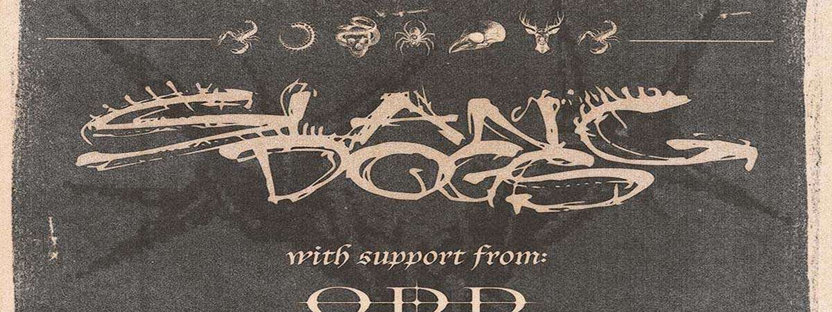 Slang Dogs w/ Odd Language, Fossils, Solkai