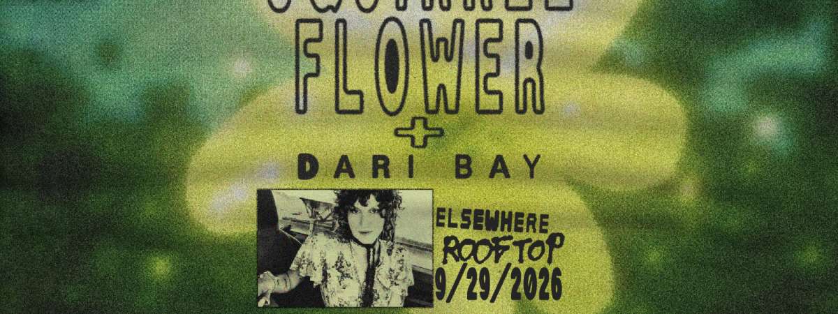 Squirrel Flower, Dari Bay