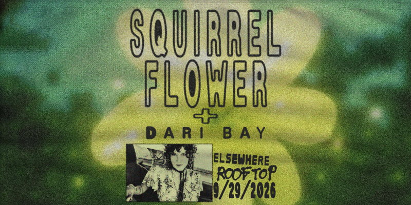 Squirrel Flower, Dari Bay