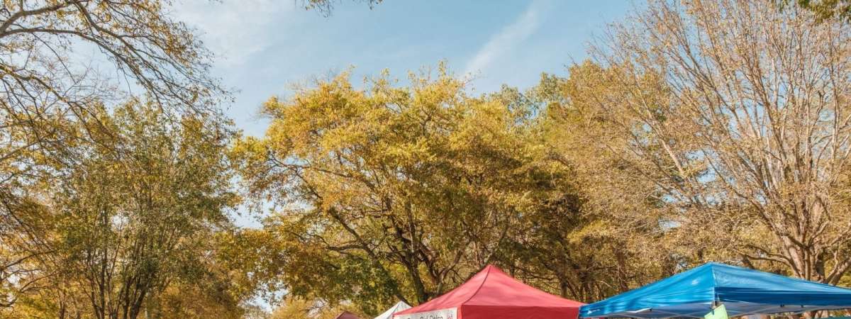 GOODFest in The Park