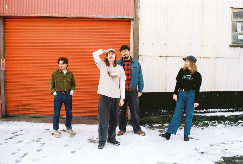Brown Horse | Brody Price