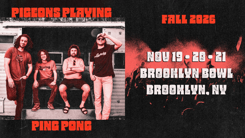 Pigeons Playing Ping Pong