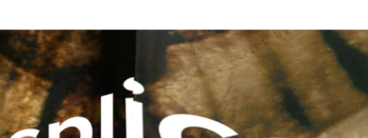 Splice Series