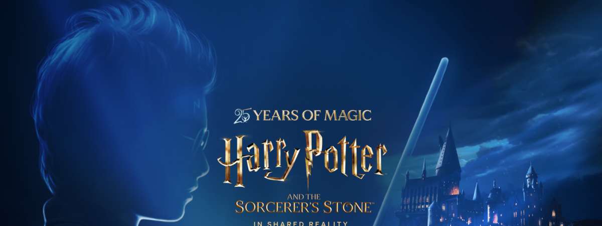 Harry Potter and the Sorcerer's Stone in Shared Reality