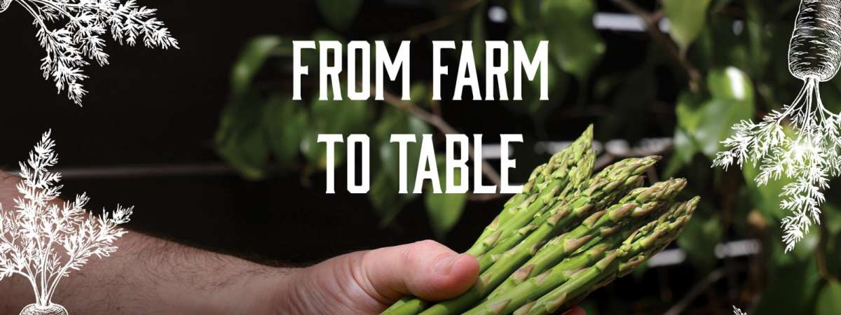 Chef Dinner: From Farm to Table