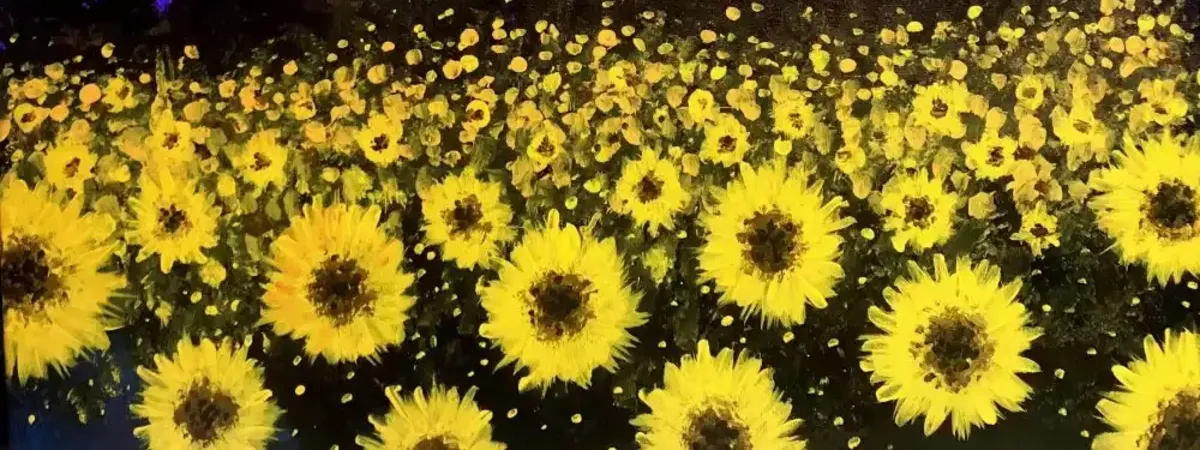 Sunflower Sunset