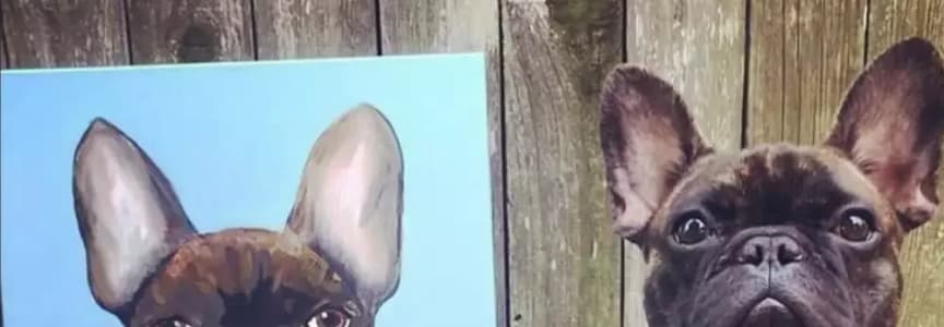 Paint Your Pet