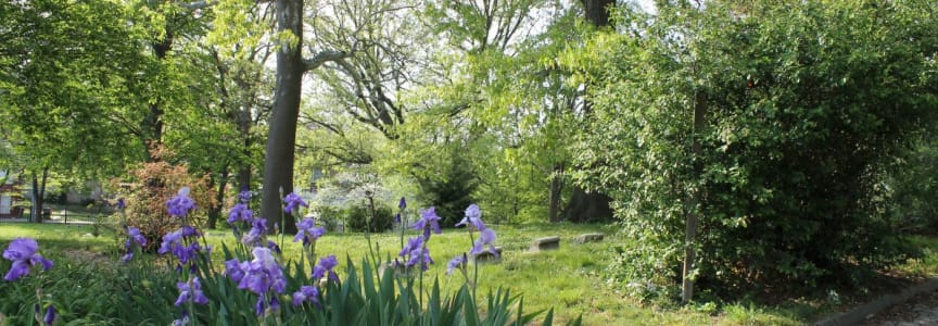 Breathwork Workshop at Fair Hill