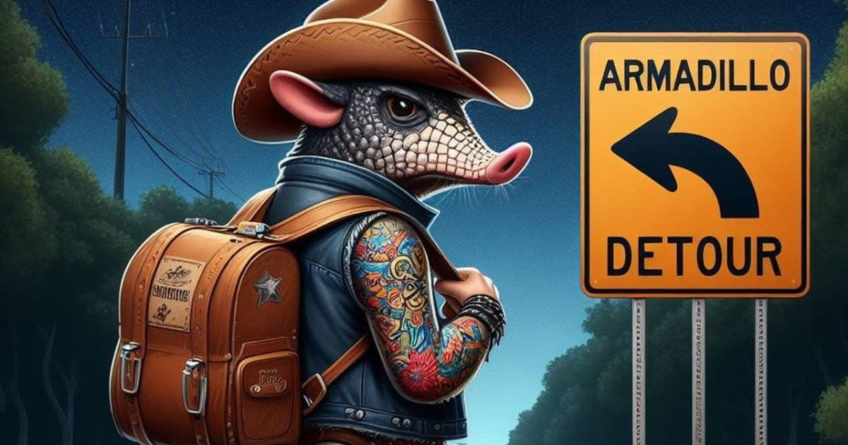 Armadillo Detour