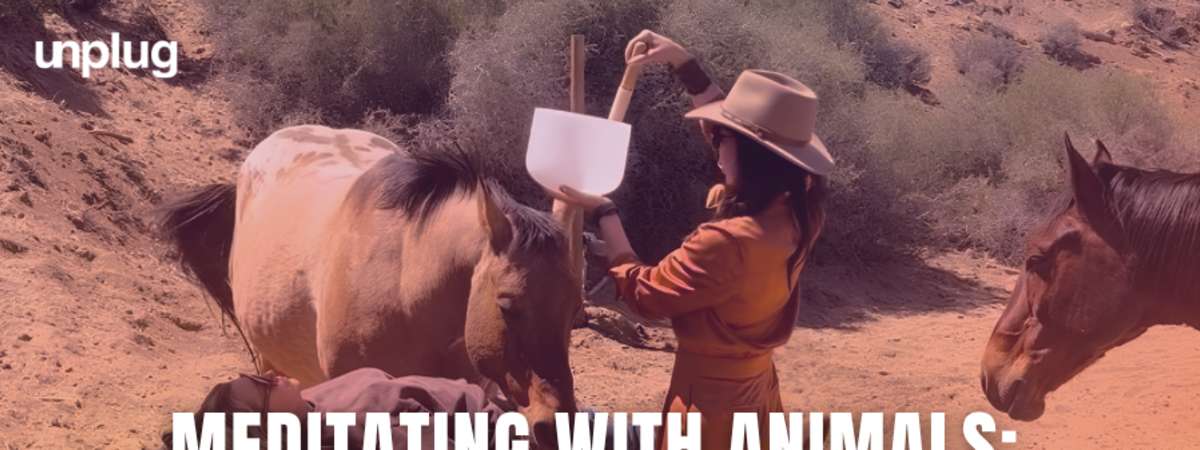 IN-PERSON: Meditating with Animals: Animal Connection & Sound Healing Mini Retreat with Pamela Robins