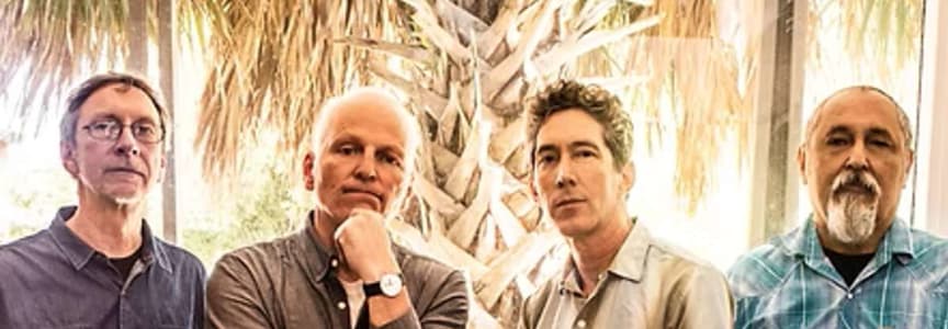 The Iguanas