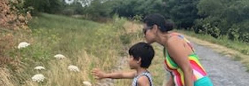 iSpy: Explore Boston Harbor | Spectacle Island