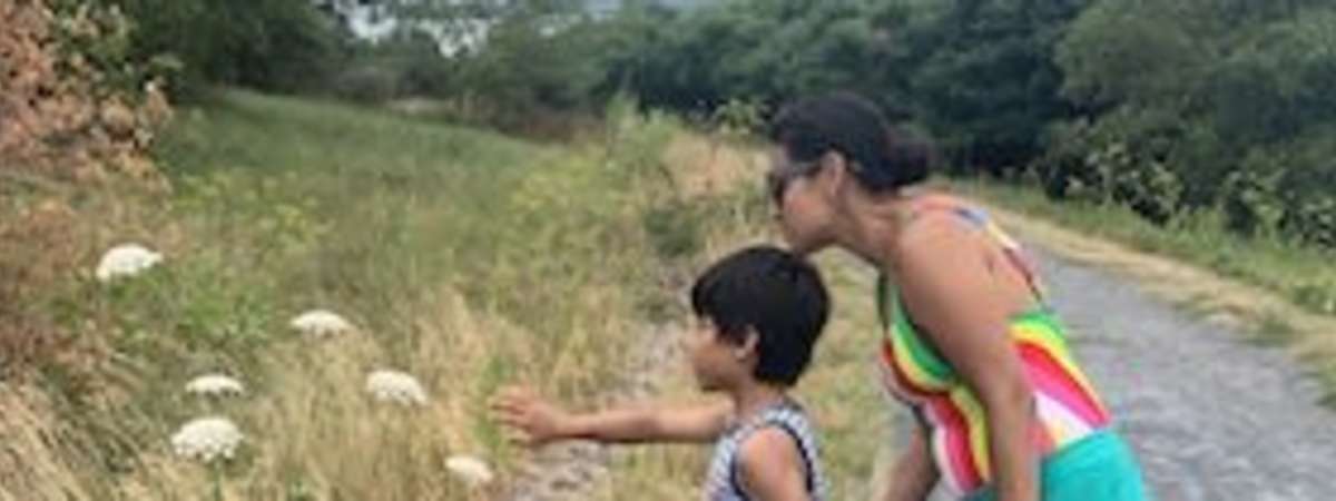 iSpy: Explore Boston Harbor | Spectacle Island