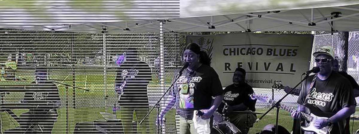Blues In The Parks