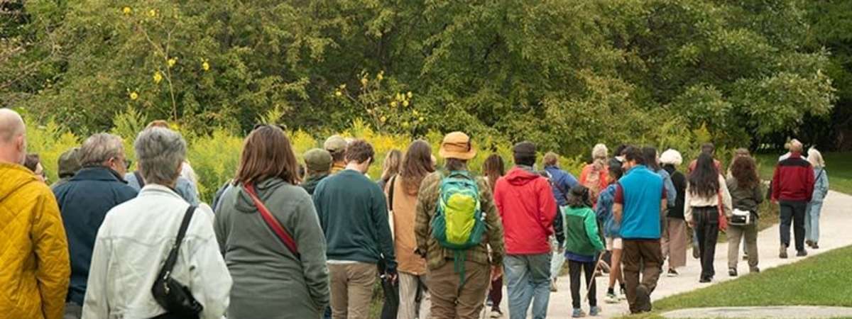 Summer Soundwalks in the Park